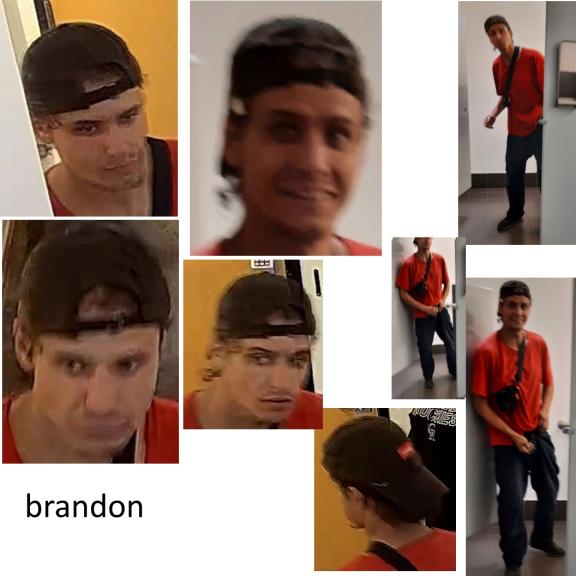 Brandon